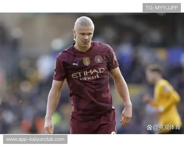 哈兰德冲击英超金靴进度条再次拉满！